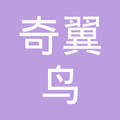 段丽峰